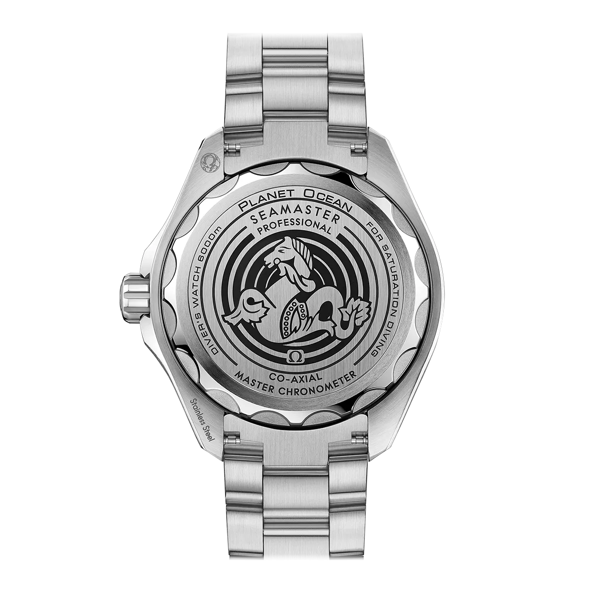 omega-seamaster-planet-ocean-6000m-co-axial-45-5-mm-21530462106001-2_hos_Jarl_Sandin