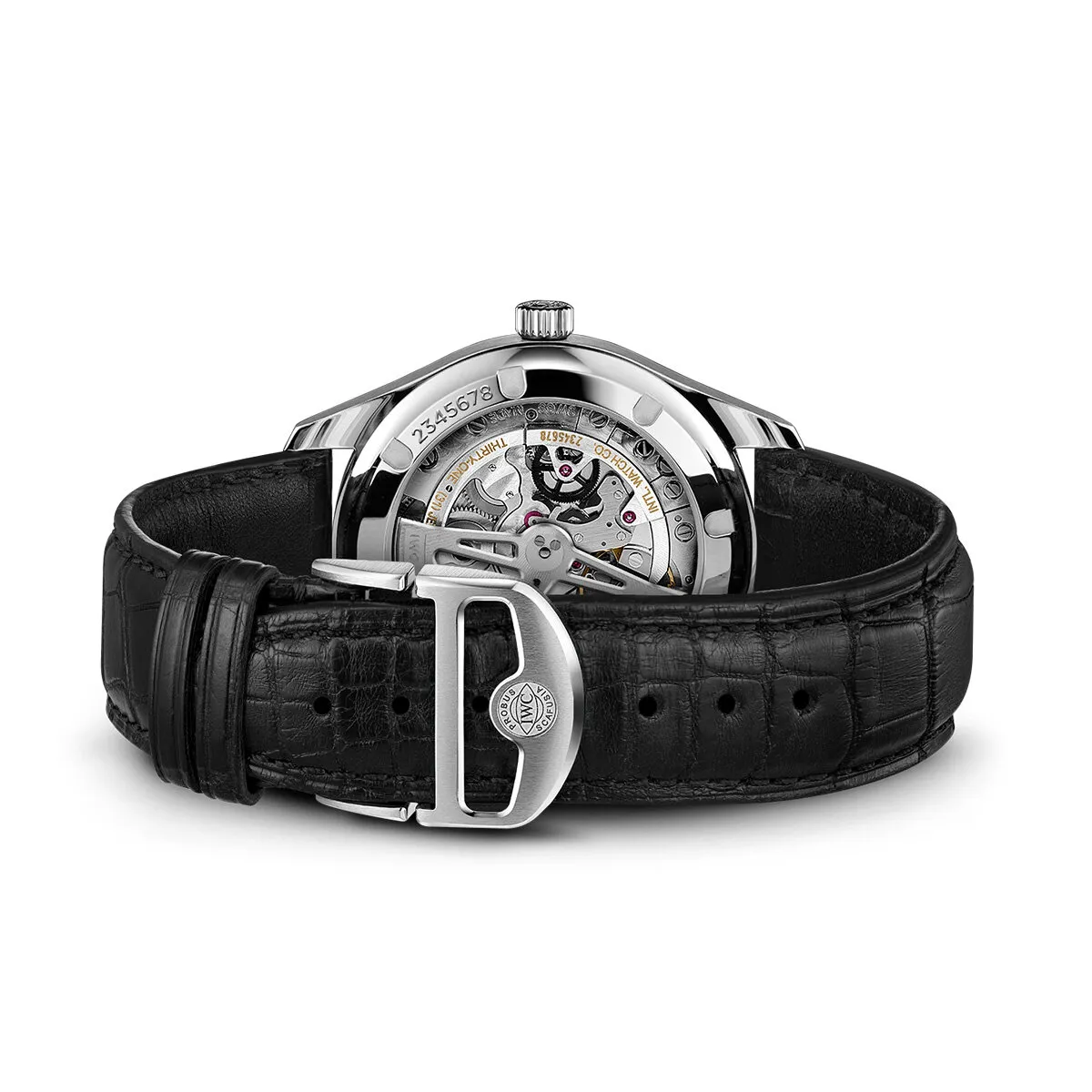 IWC_IW358313_6_transp_kopiera_hos_Jarl_Sandin