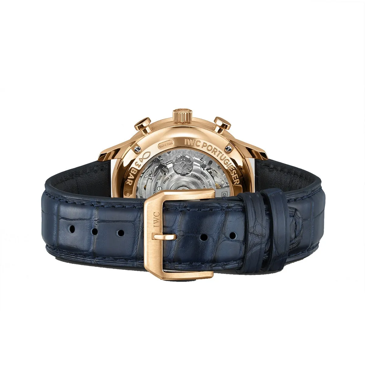 IWC_IW371614_6_kopiera_hos_Jarl_Sandin