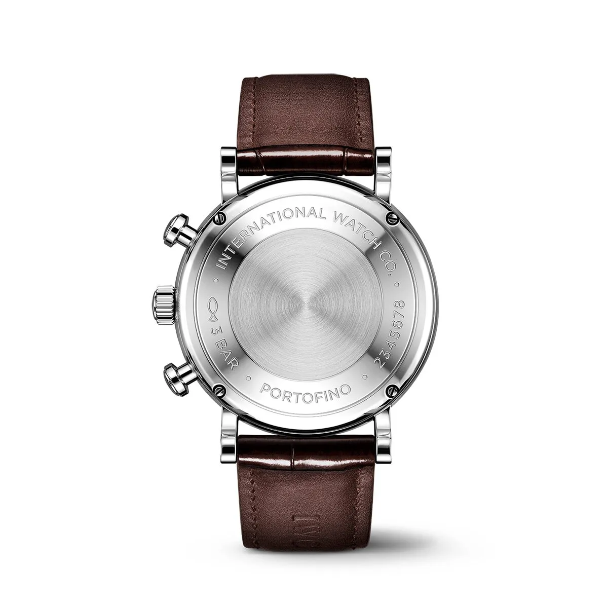 IWC_IW391404_7_kopiera_hos_Jarl_Sandin