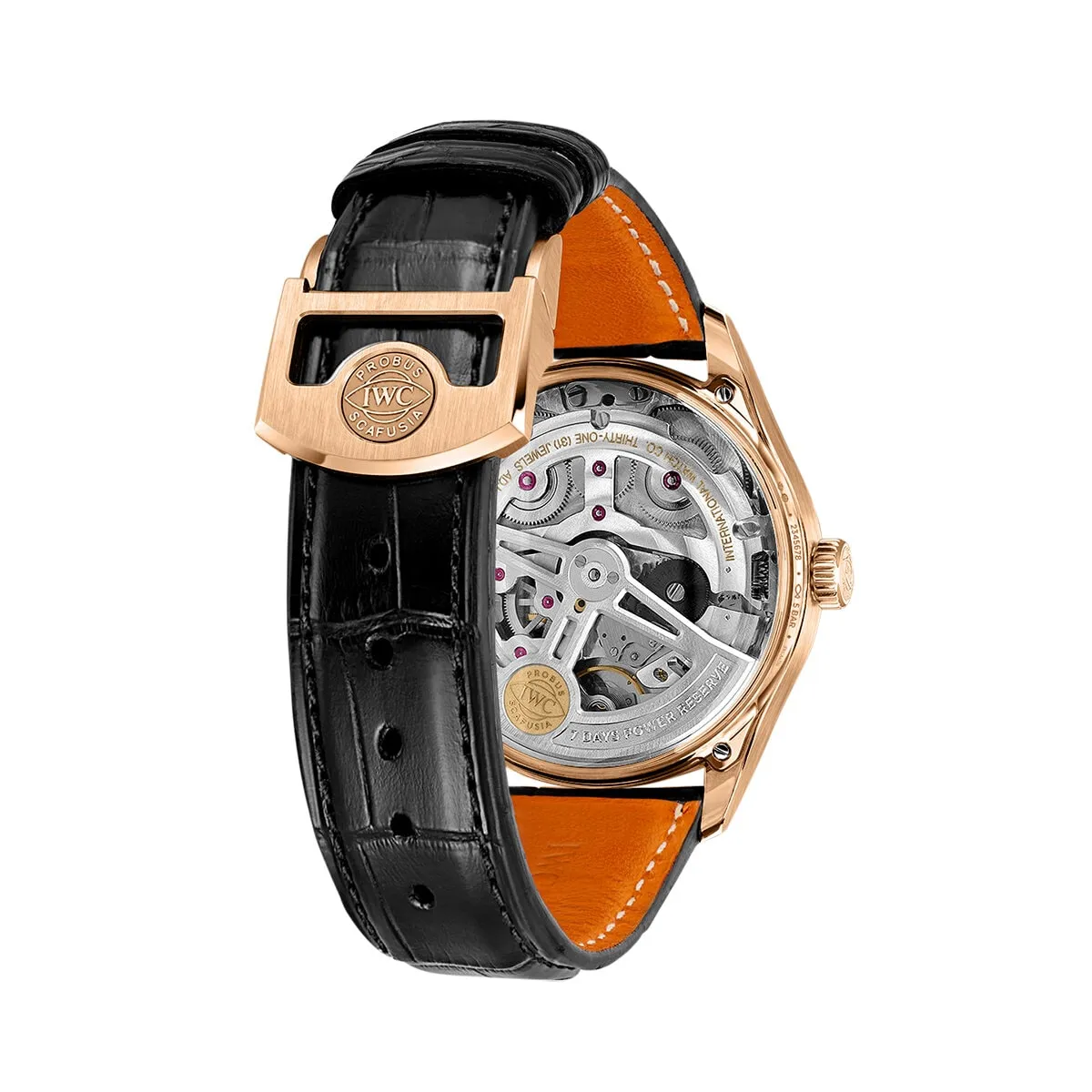 IWC_IW501707_6_transp_kopiera_hos_Jarl_Sandin