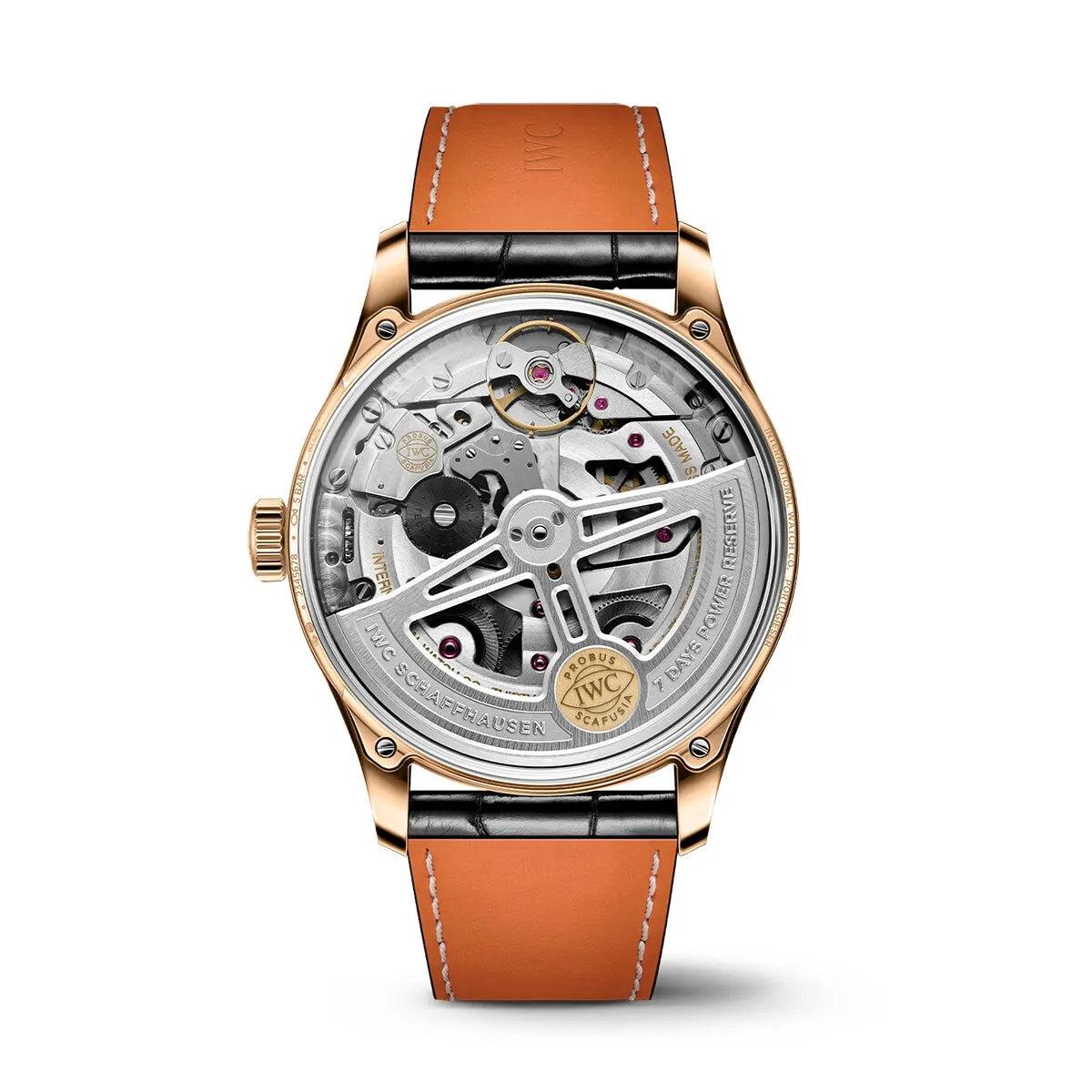 IWC_IW501707_7_transp_kopiera_hos_Jarl_Sandin