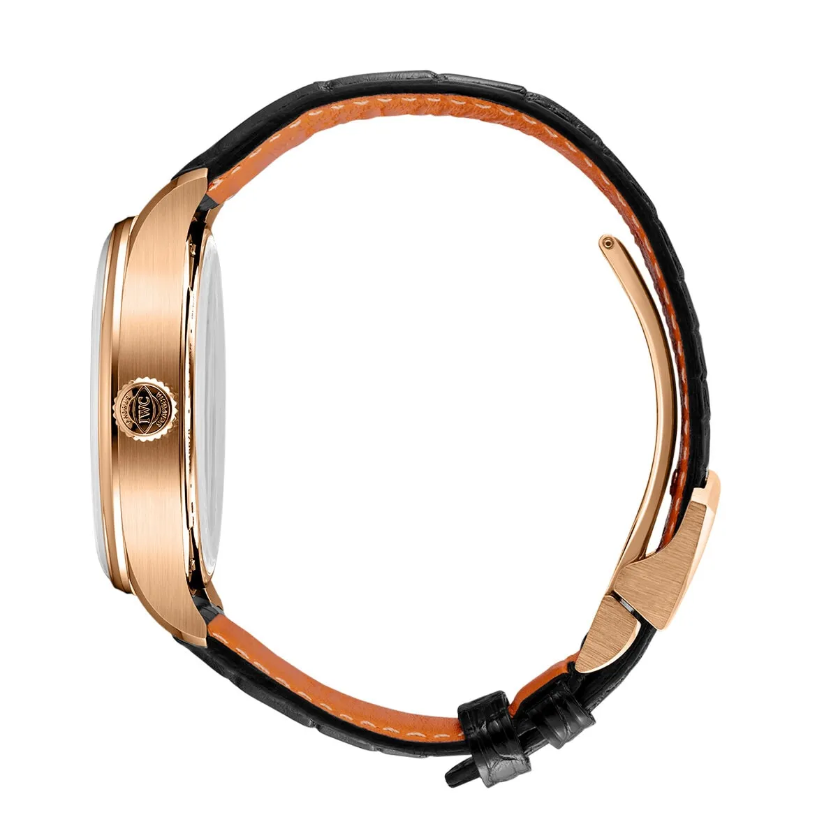 IWC_IW501707_8_transp_kopiera_hos_Jarl_Sandin