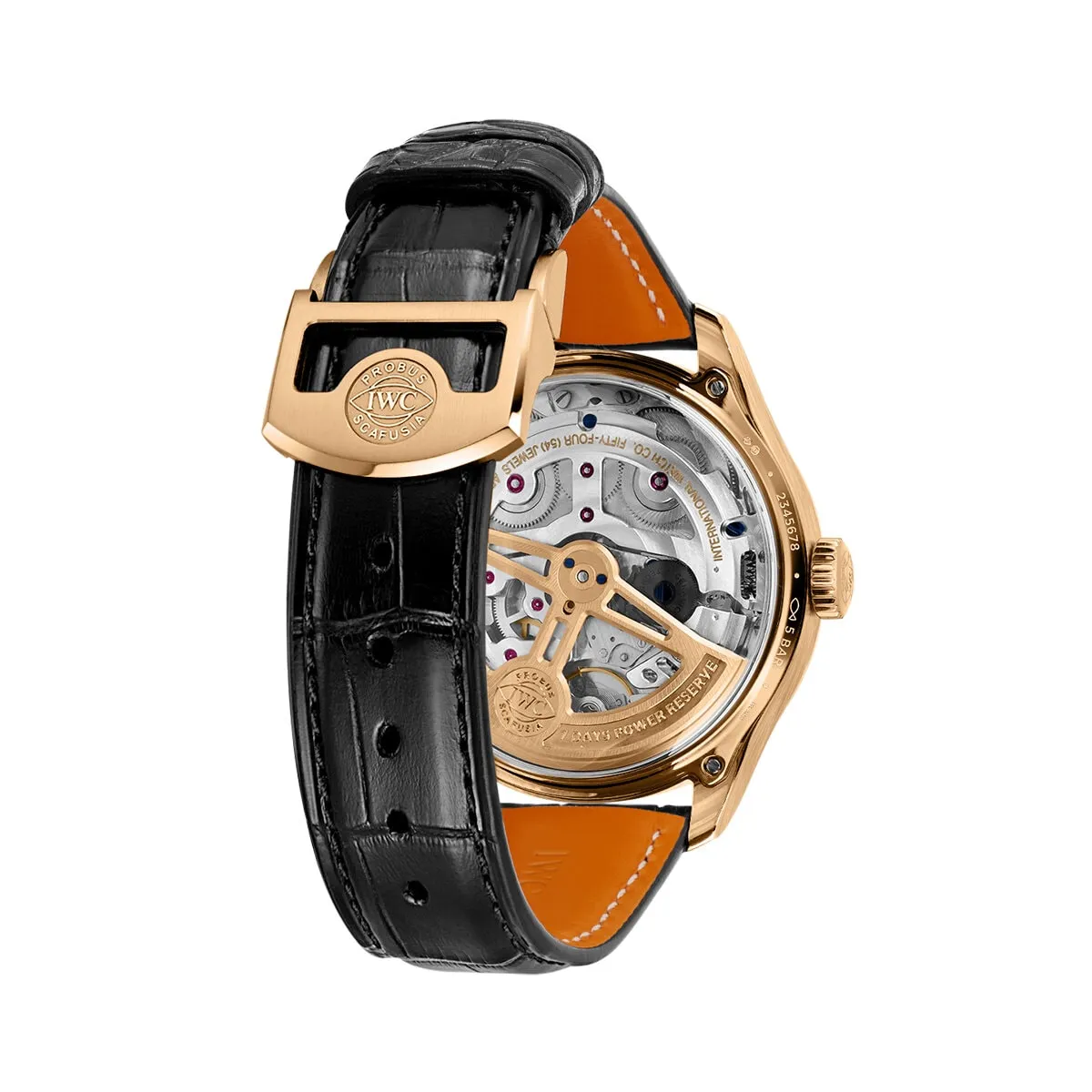 IWC_IW503702_6_transp_kopiera_hos_Jarl_Sandin