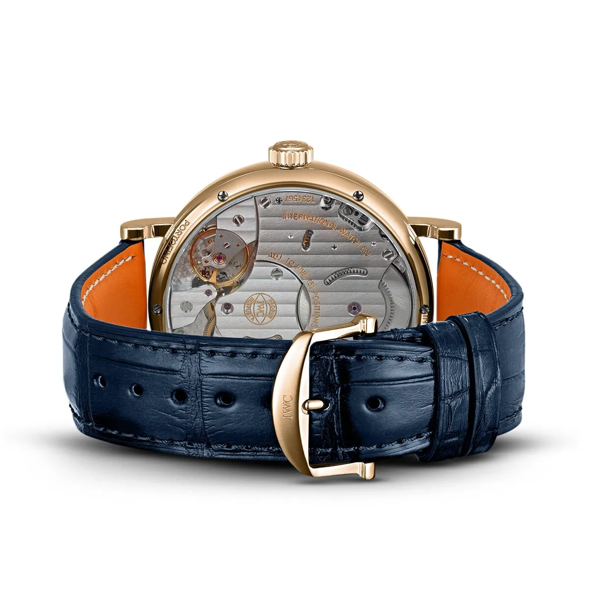 IWC_IW516409_6_kopiera_hos_Jarl_sandin