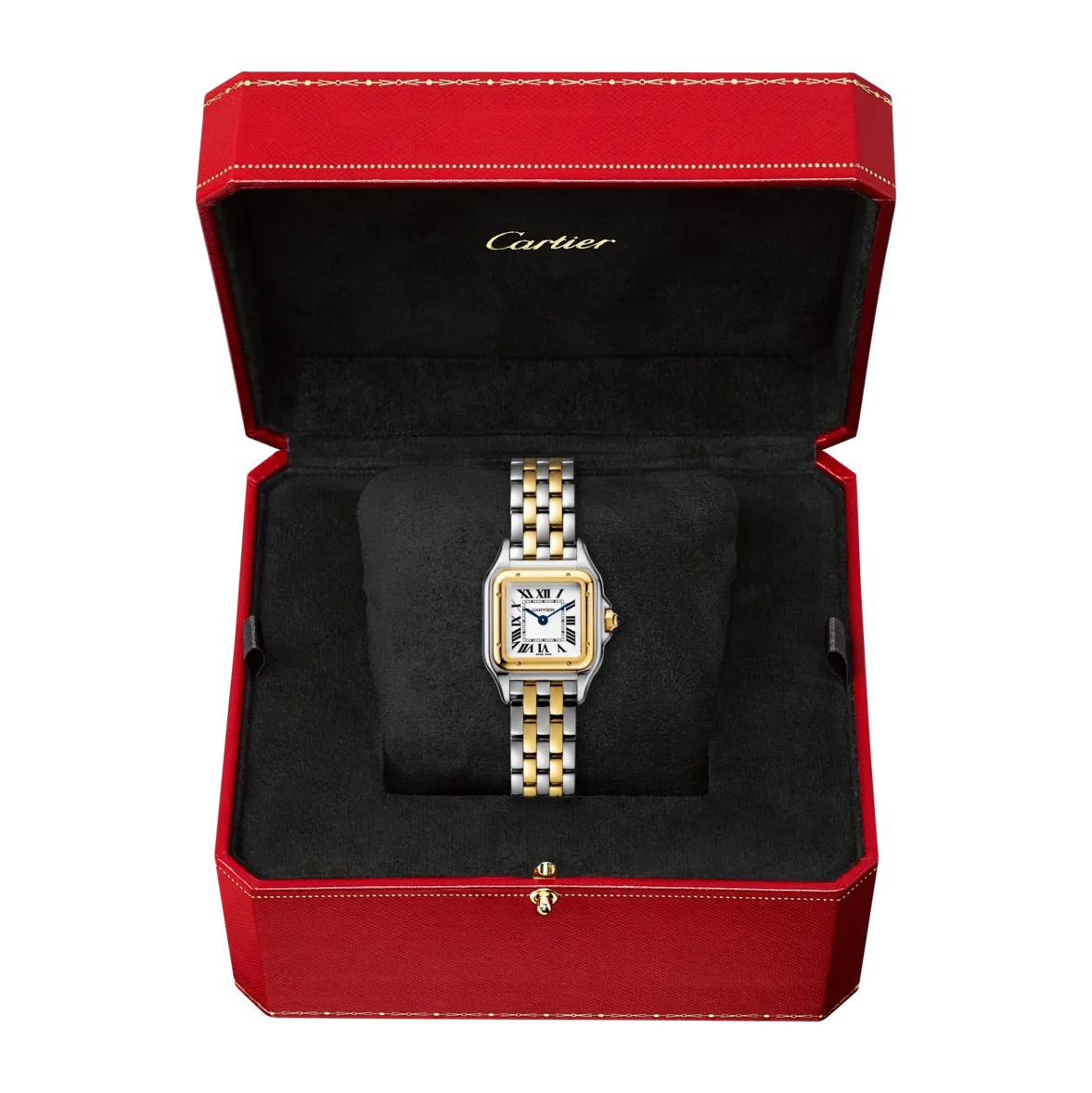 Cartier_Watches_Panthe%CC%80re-de-Cartier-W2PN0006_4_hos_Jarl_Sandin_Go%CC%88teborg
