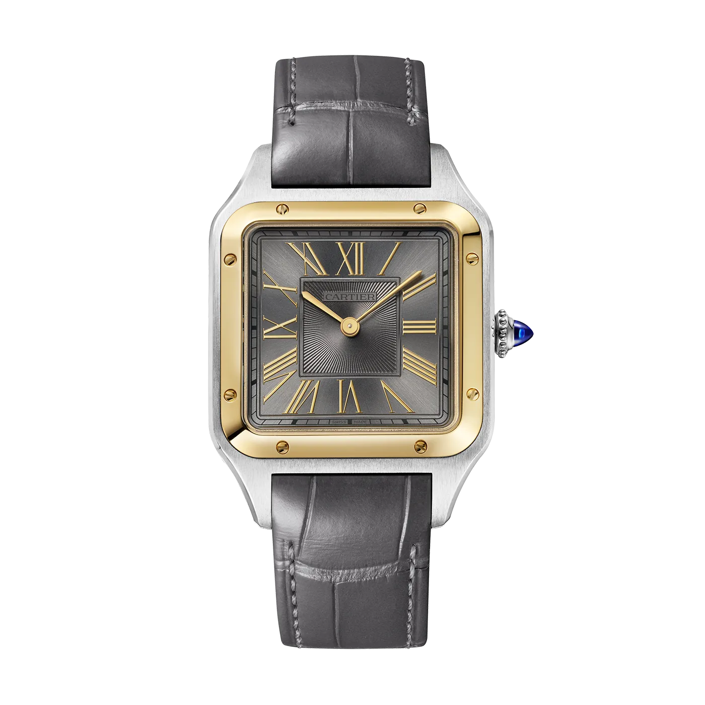 Santos_Dumont_de_Cartier_Watch_W2SA0036_0_hos_Jarl_Sandin_Go%CC%88teborg