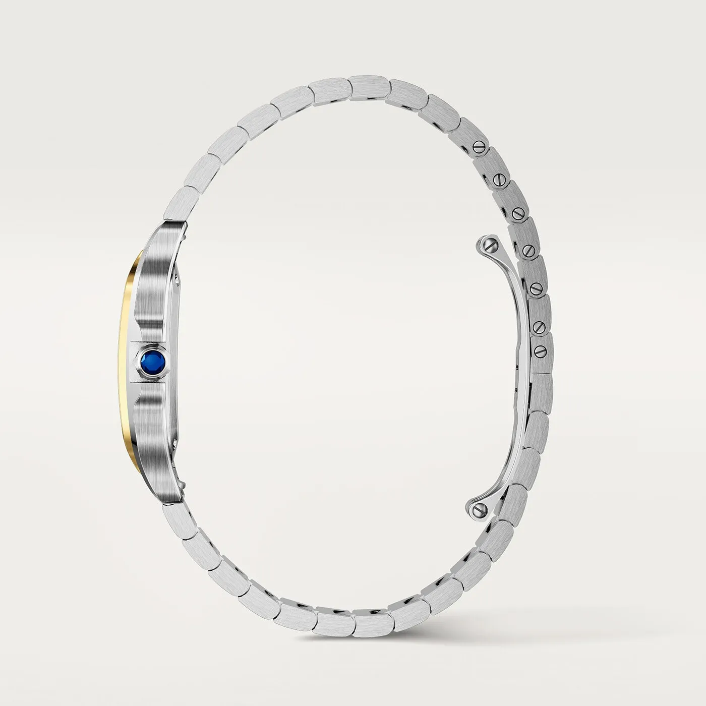 Santos_de_Cartier_Watch_W2SA0033_5_hos_Jarl_Sandin_Go%CC%88teborg