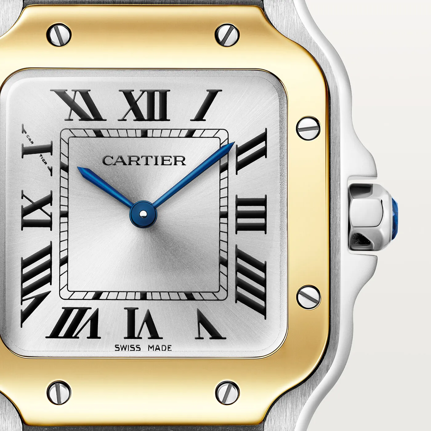 Santos_de_Cartier_Watch_W2SA0033_7_hos_Jarl_Sandin_Go%CC%88teborg