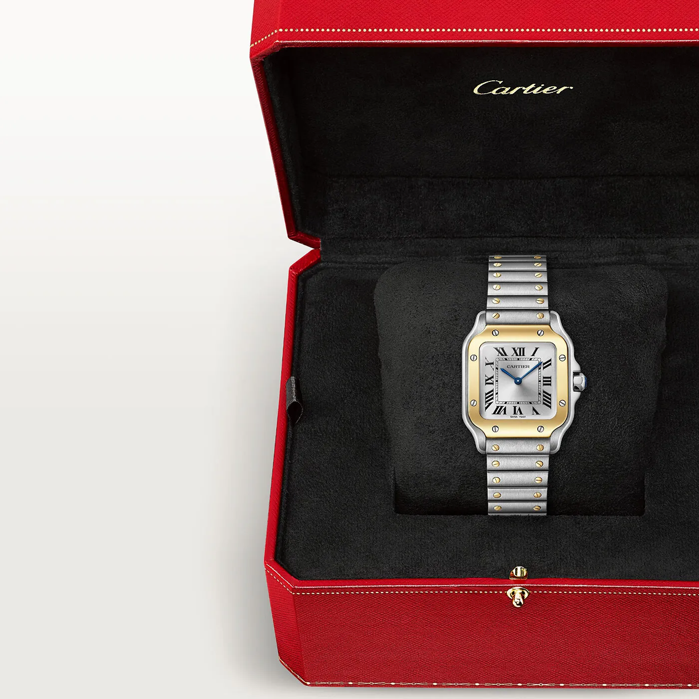 Santos_de_Cartier_Watch_W2SA0033_8_hos_Jarl_Sandin_Go%CC%88teborg