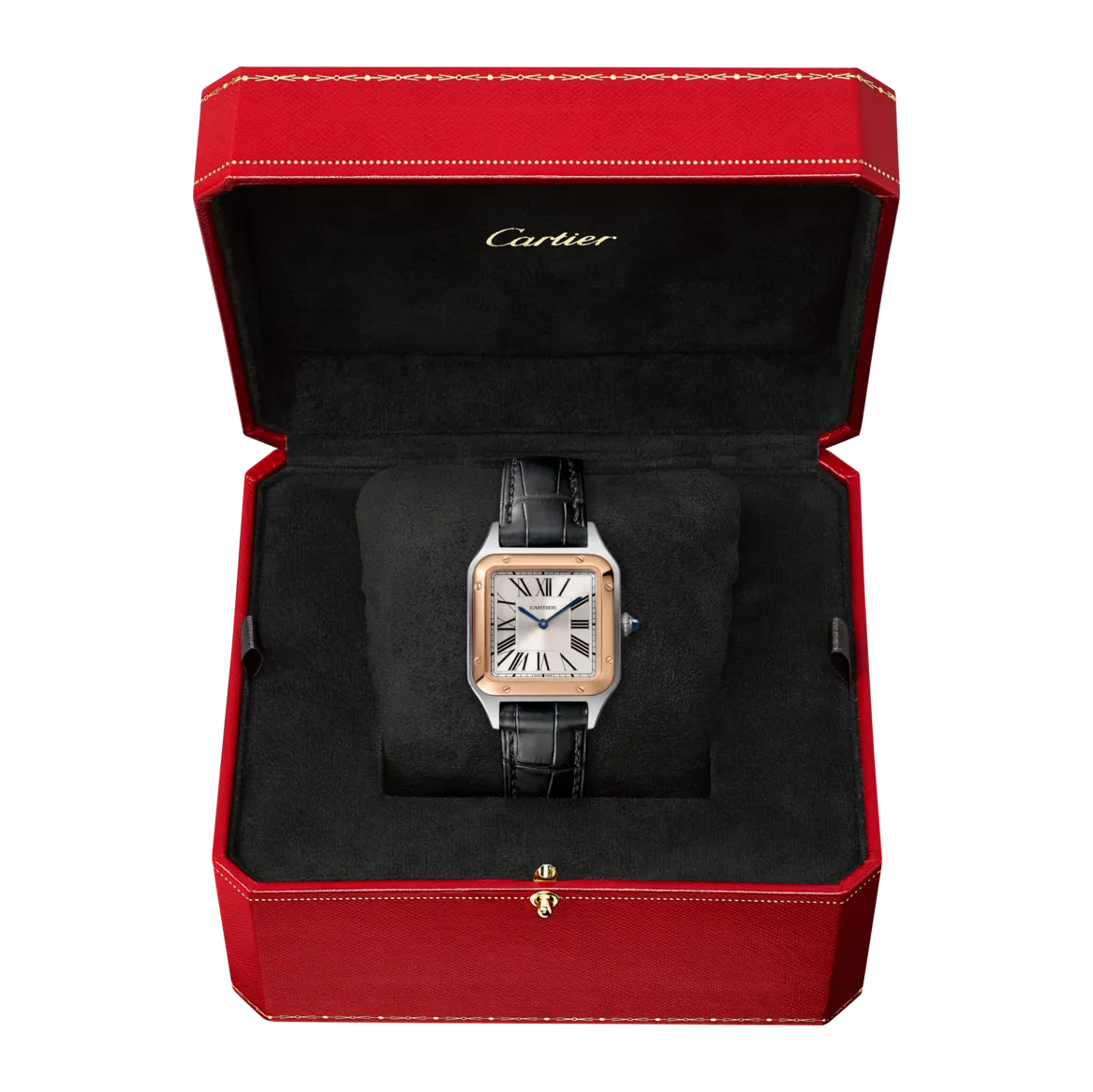 Cartier_Watches_Santos-Dumont_W2SA0012_2_hos_Jarl_Sandin_Go%CC%88teborg