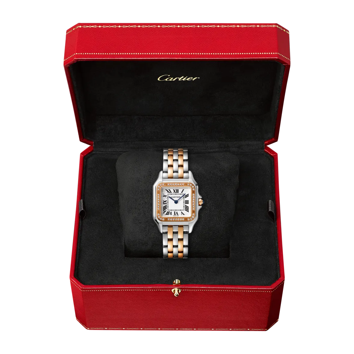 Cartier_Watches_Panthe%CC%80re-de-Cartier-W3PN0007_2_hos_Jarl_Sandin_Go%CC%88teborg