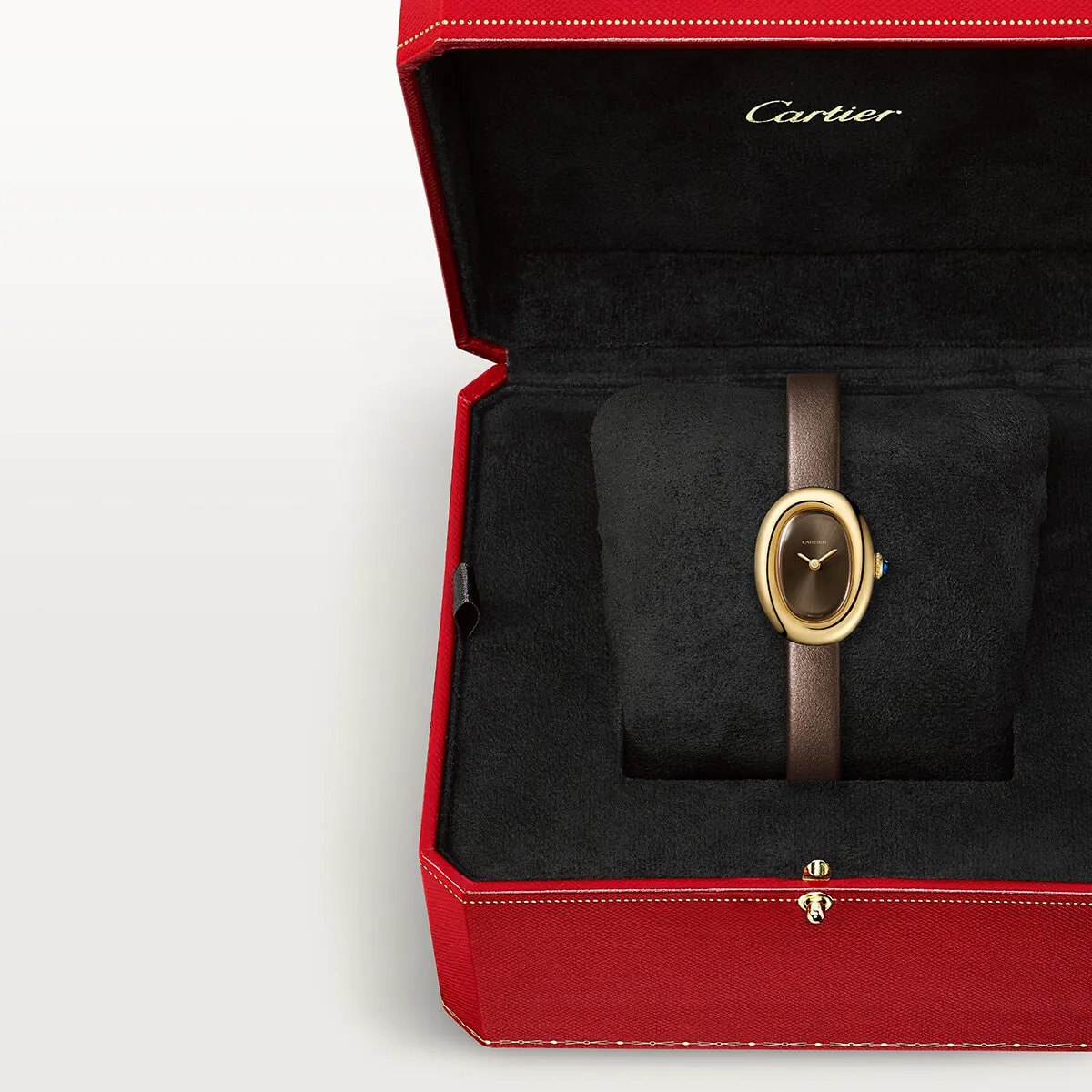 Cartier_Baignoire_Watch_WGBA0031_7_hos_Jarl_Sandin