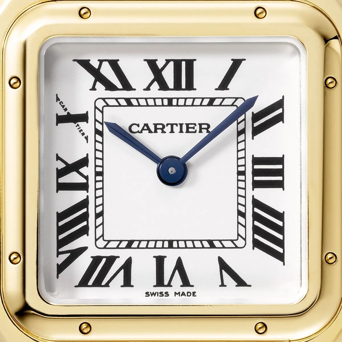 Cartier_Watches_Panthe%CC%80re-de-Cartier-WGPN0038_7_hos_Jarl_Sandin_Go%CC%88teborg