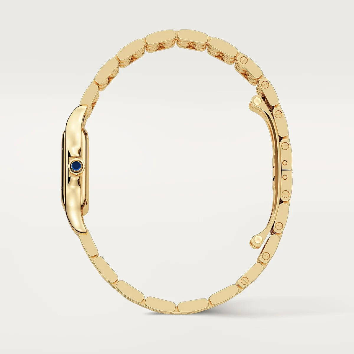Cartier_Watches_Panthe%CC%80re-de-Cartier-WGPN0038_9_hos_Jarl_Sandin_Go%CC%88teborg