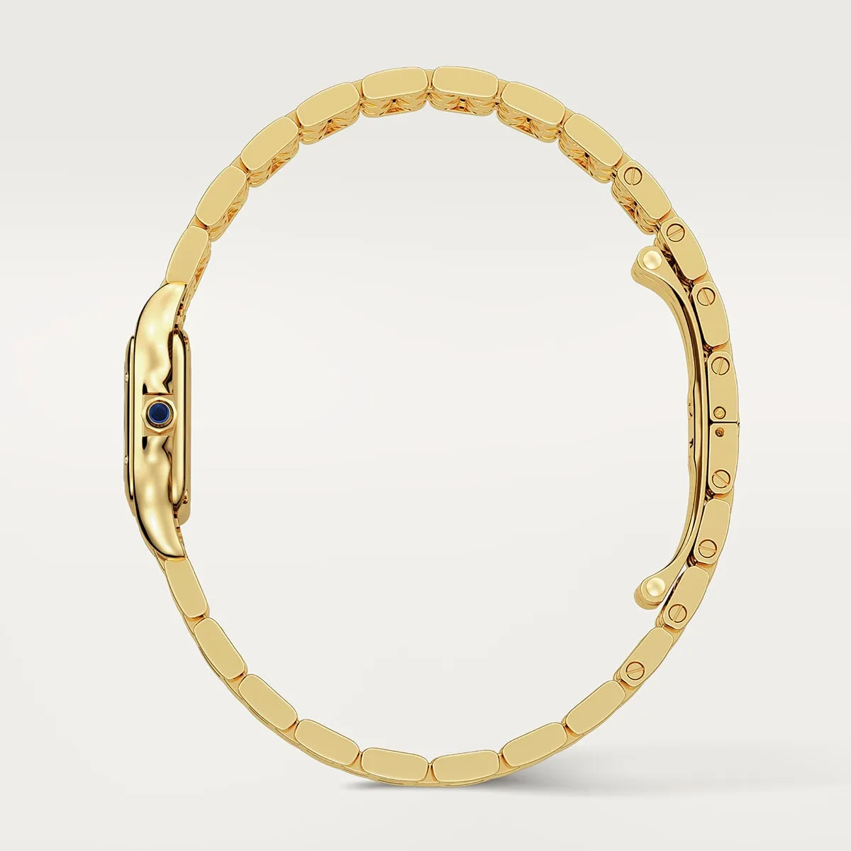 Cartier_Watches_Panthere-de-Cartier-WGPN0036_4_hos_Jarl_Sandin_Go%CC%88teborg