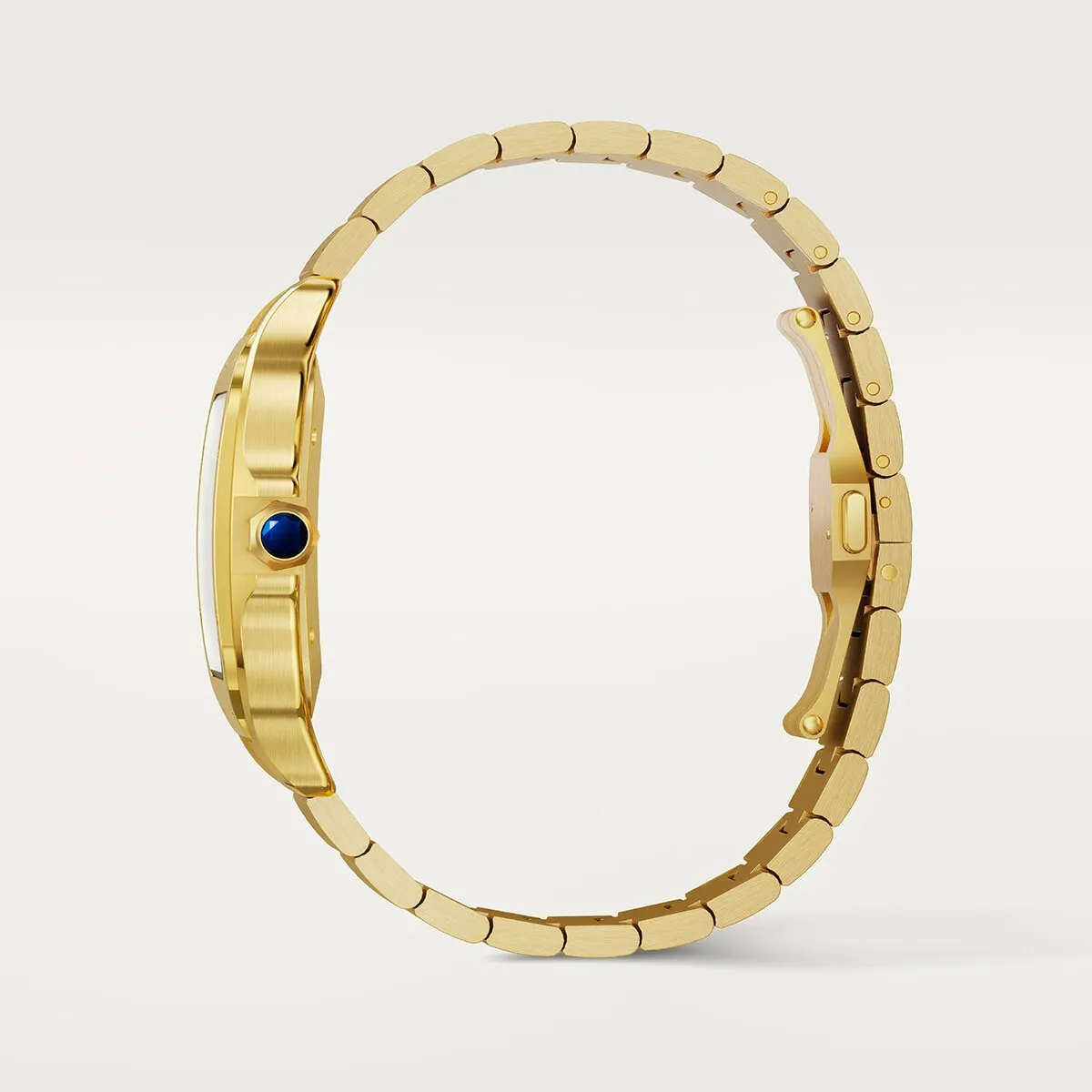 Cartier_Watches_Santos_de_Cartier_WGSA0095_5_hos_Jarl_Sandin
