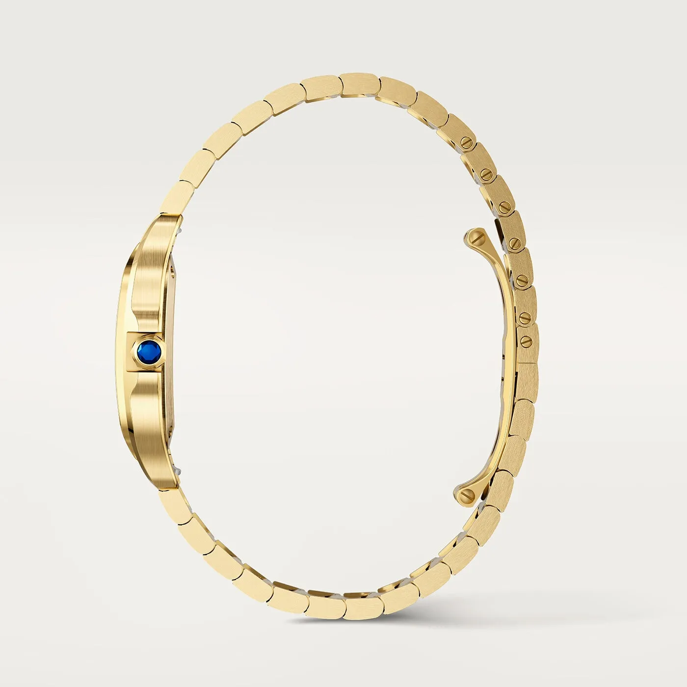 Santos_de_Cartier_Watch_WGSA0107_5_hos_Jarl_Sandin_Go%CC%88teborg