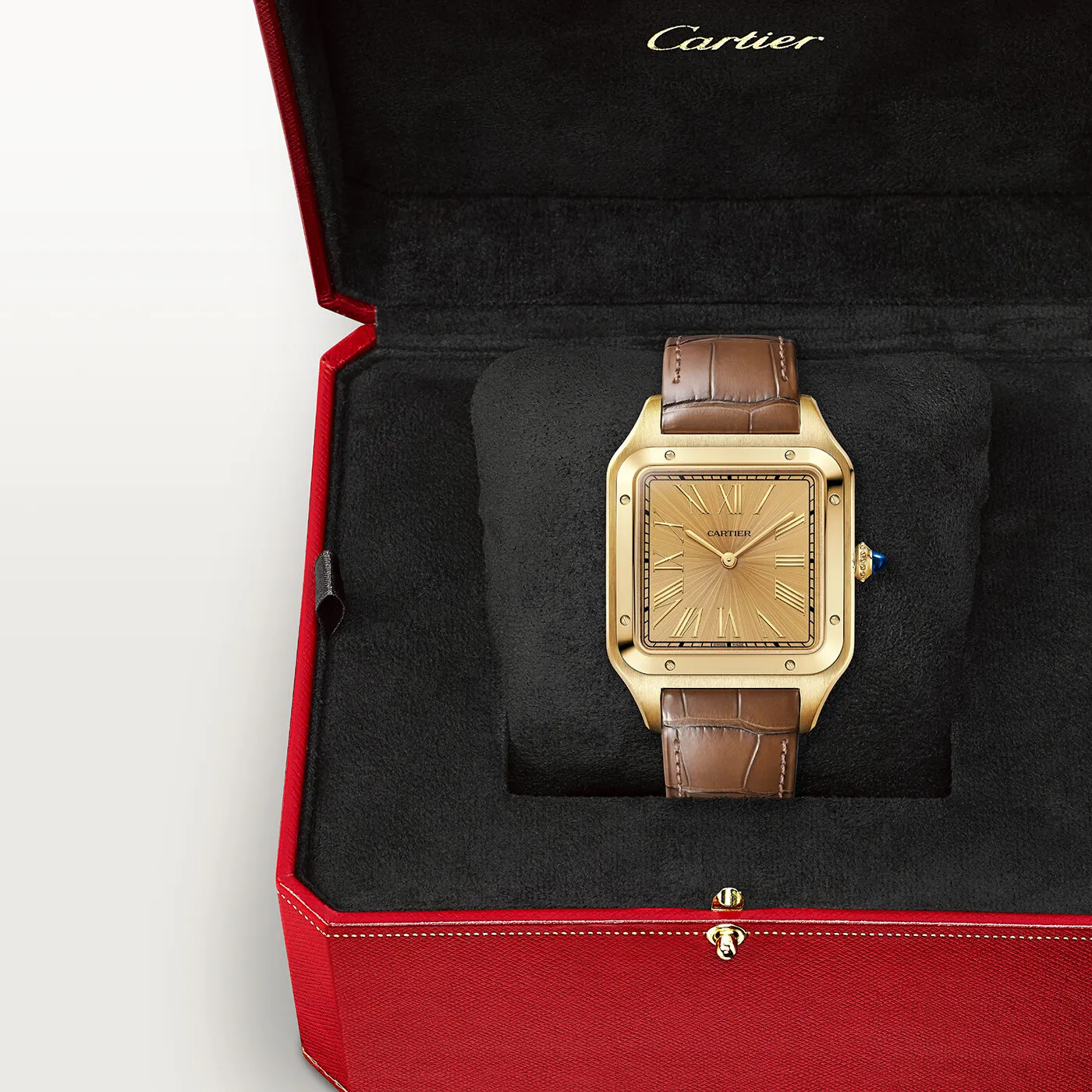 Santos_de_Cartier_Watch_WGSA0111_5_hos_Jarl_Sandin_Go%CC%88teborg
