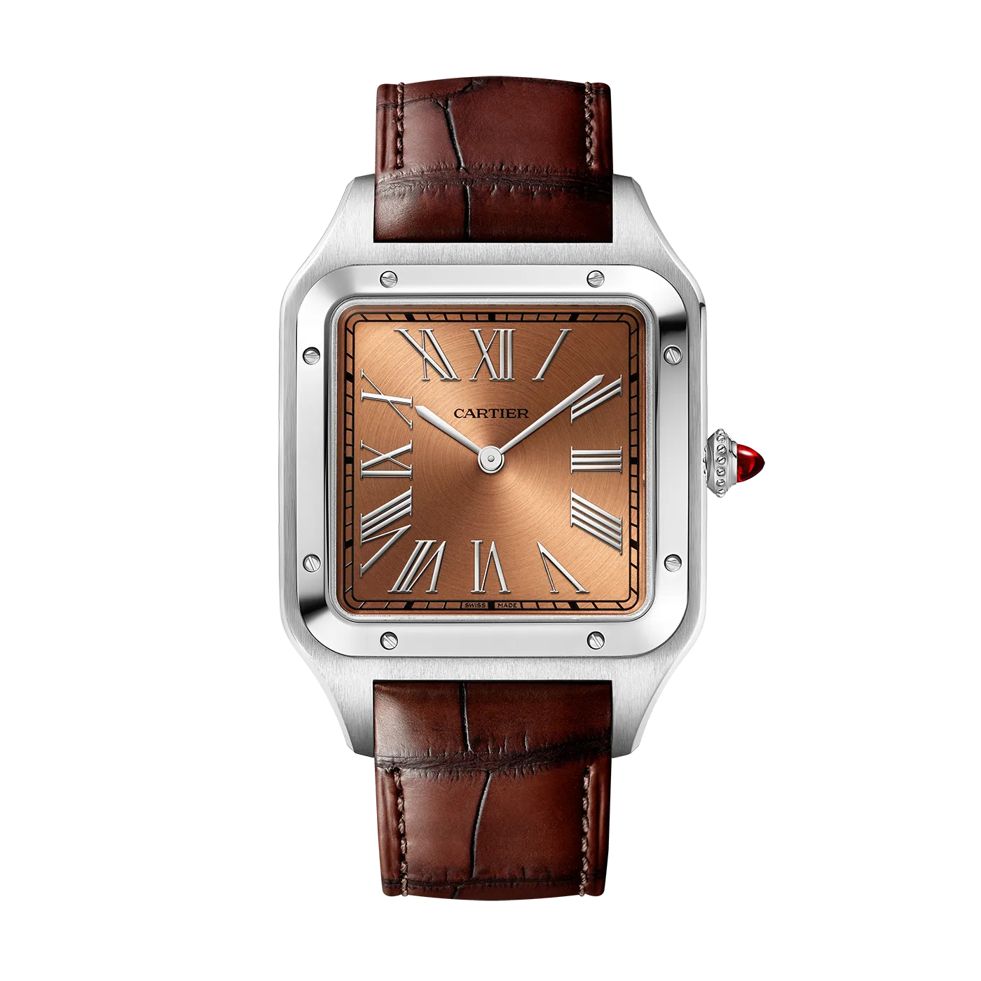 Santos_de_Cartier_Watch_WGSA0113_0_hos_Jarl_Sandin_Go%CC%88teborg
