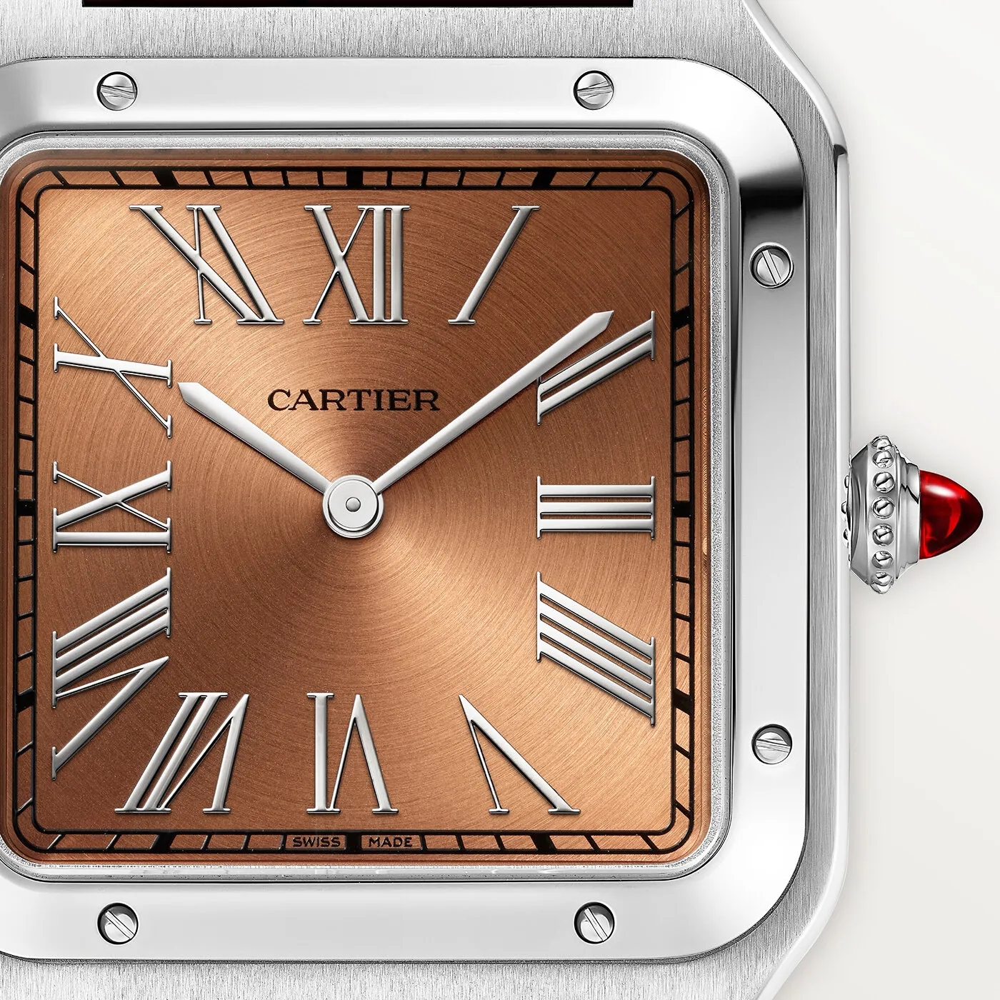 Santos_de_Cartier_Watch_WGSA0113_4_hos_Jarl_Sandin_Go%CC%88teborg