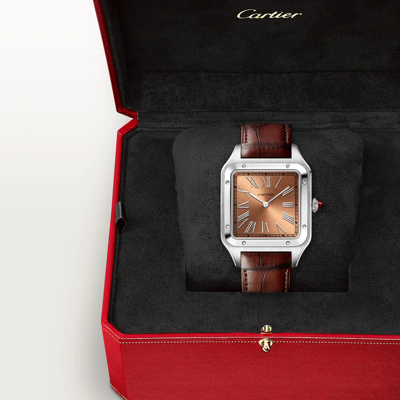 Santos_de_Cartier_Watch_WGSA0113_5_hos_Jarl_Sandin_Go%CC%88teborg