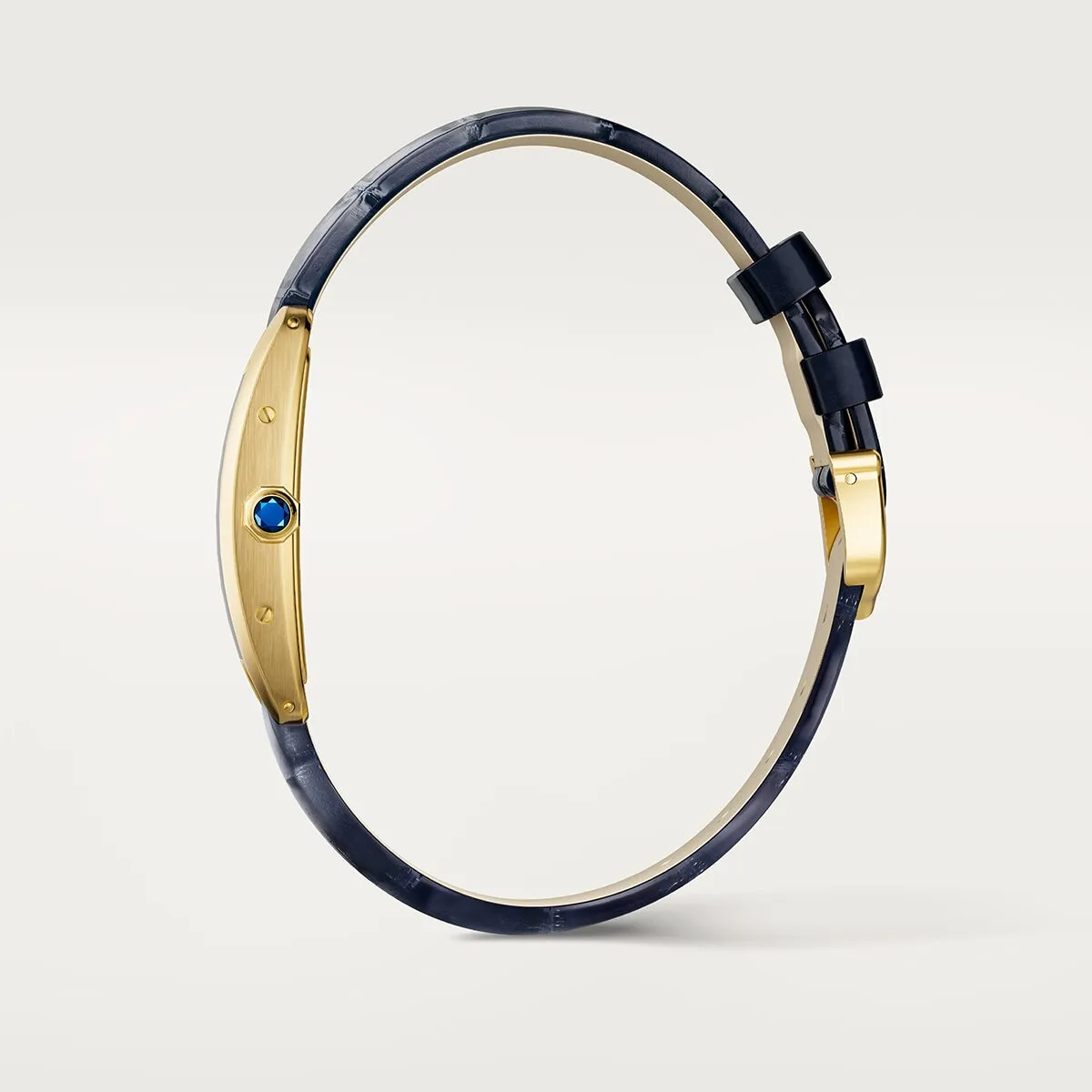 Cartier_Watches_Tank_Ame%CC%81ricaine_WGTA0356_2_hos_Jarl_Sandin