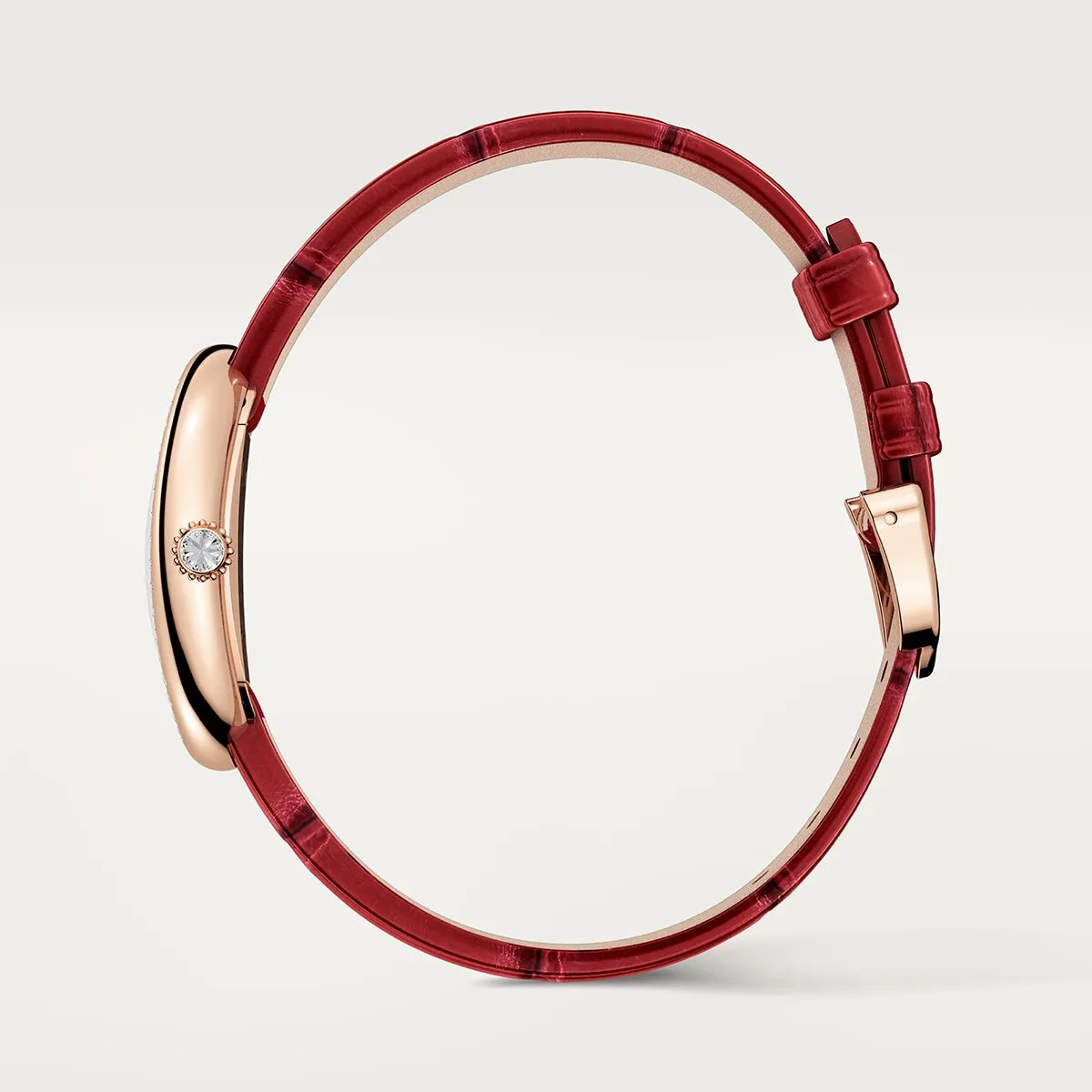 Cartier_Baignoire_Watch_WJBA0053_3_hos_Jarl_Sandin