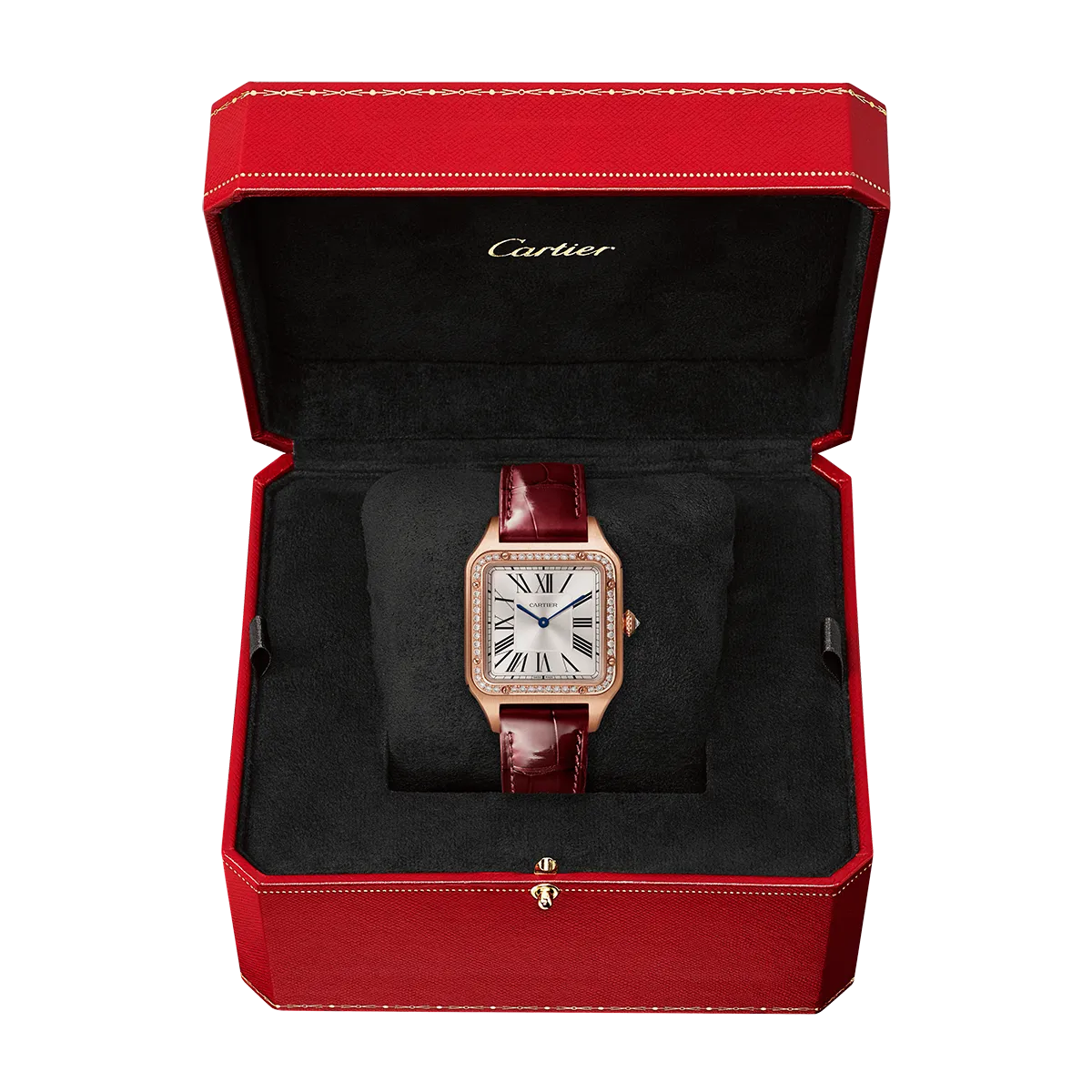 Cartier_Santos_de_Cartier_WJSA0016_13_hos_Jarl_Sandin