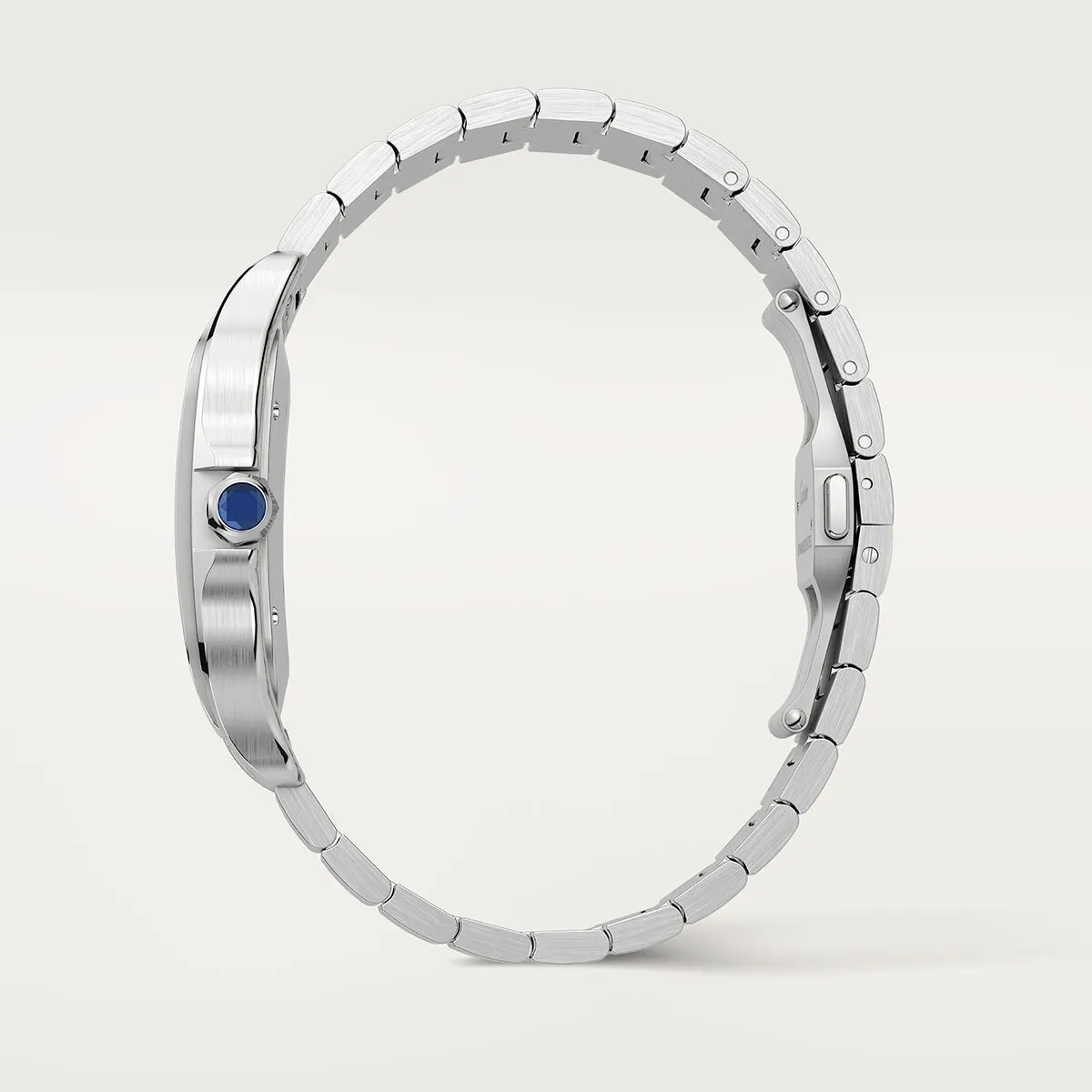 Cartier_Watches_Santos_de_Cartier_WSSA0062_5_hos_Jarl_Sandin