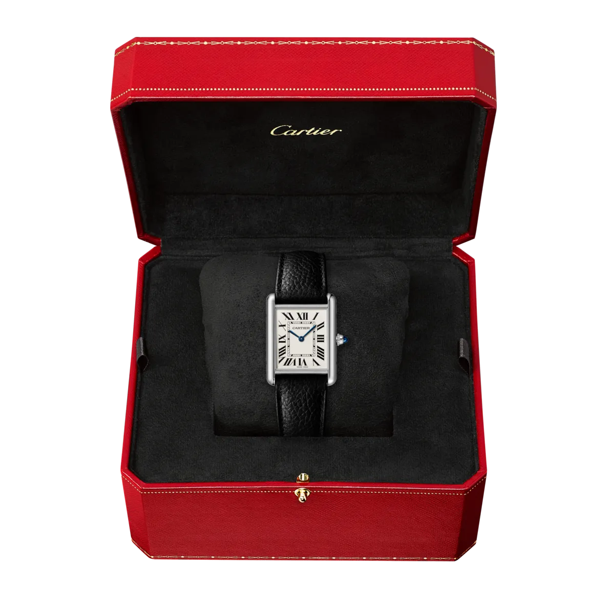 Cartier-Tank-Must-de-Cartier-watch_CRWSTA0041_v2_hos_Jarl_Sandin