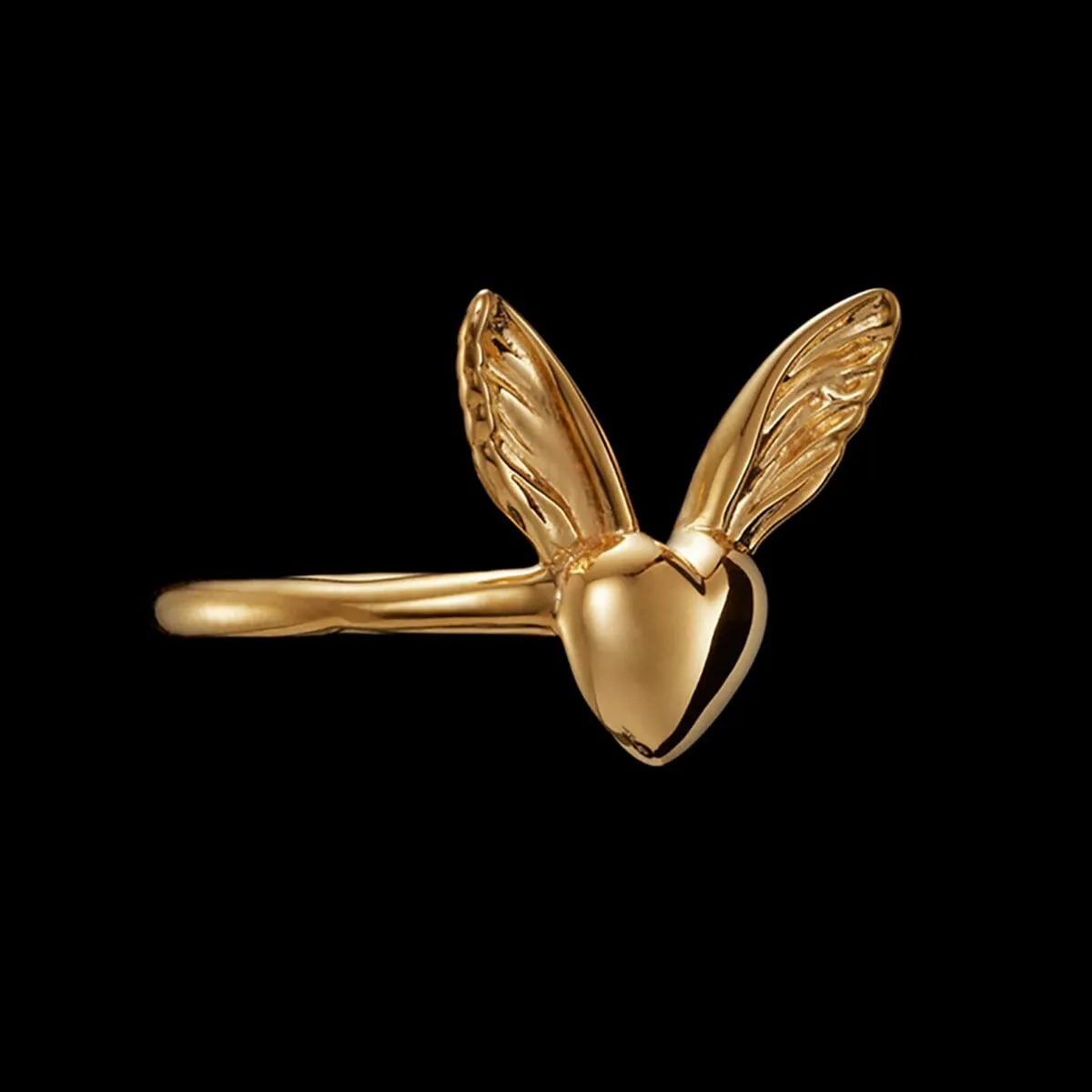 Maria_Nilsdotter_TA-08-RIC-00-lovers-ring-side_hos_Jarl_Sandin