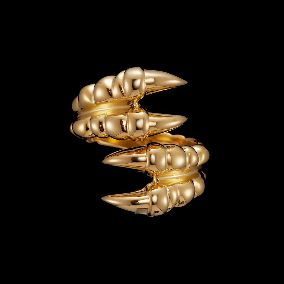 Maria_Nilsdotter_14_DC-03-RIC-00-claw-ring-double-gps-front_kopiera_hos_Jarl_Sandin