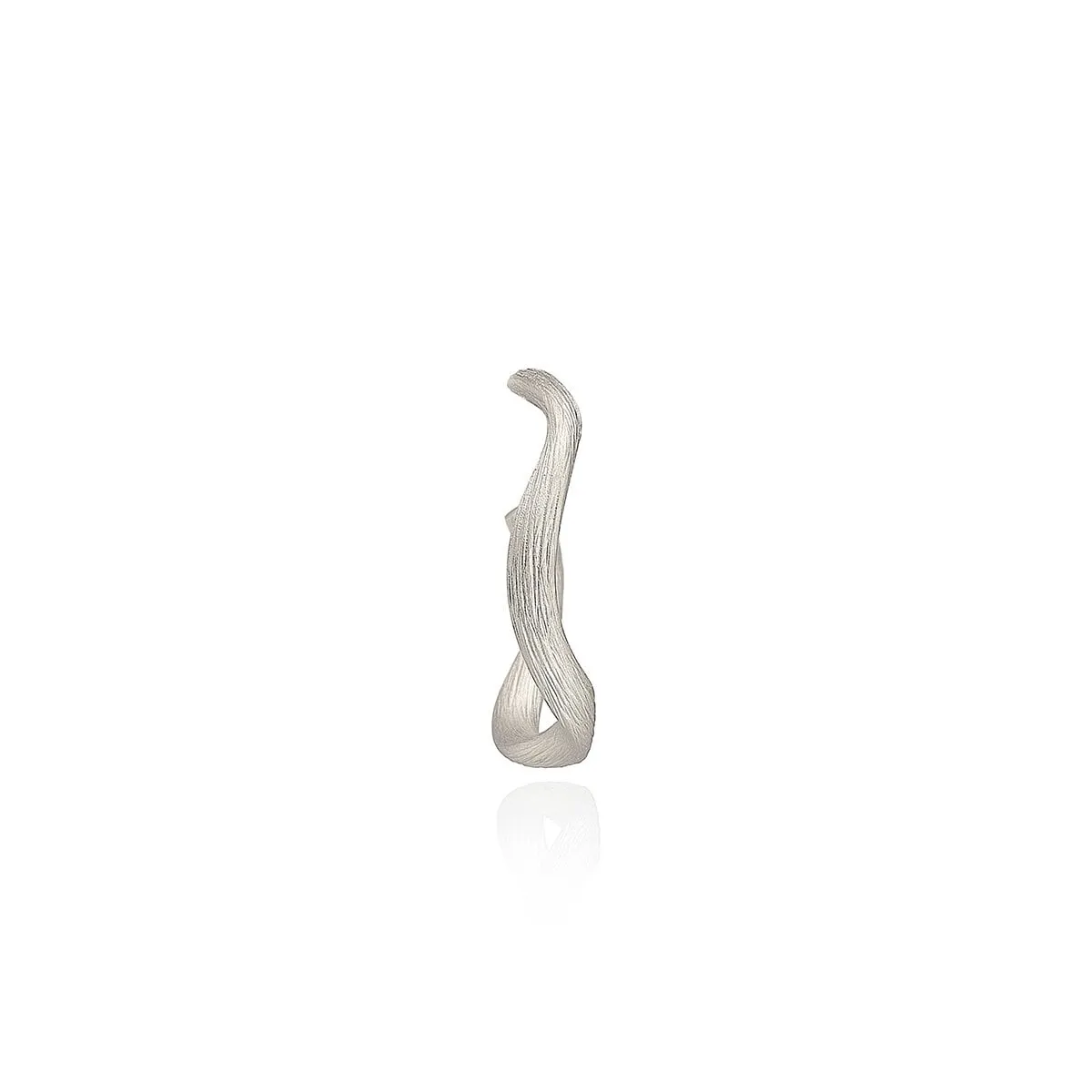 Dulong_VEG1-F1030-B_hos_Jarl_Sandin