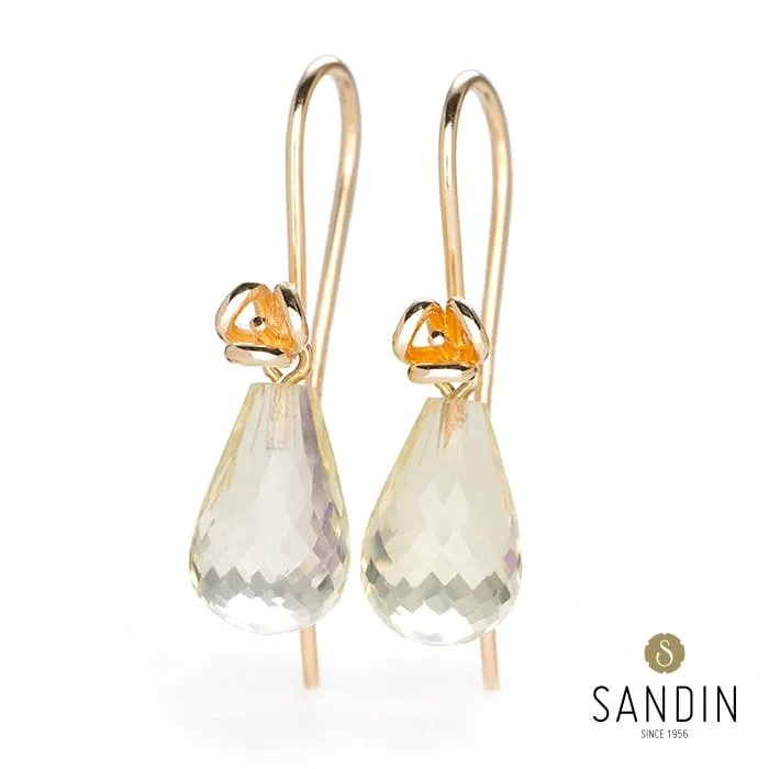 Sandin_1956_1_Blossom_krokorhangen_med-Topas_hos_Jarl_Sandin_5010